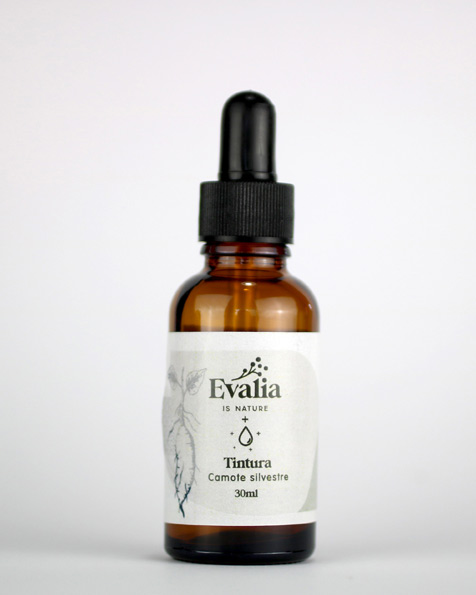 catalogo evalia tintura camote silvestre